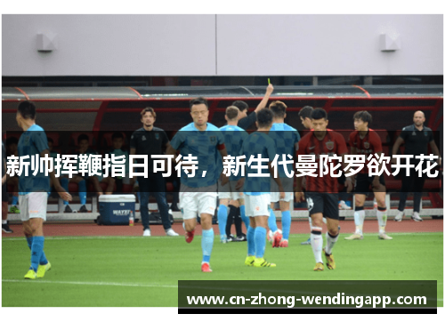 新帅挥鞭指日可待,新生代曼陀罗欲开花 新帅挥鞭指日可待,新生代曼陀罗欲开花