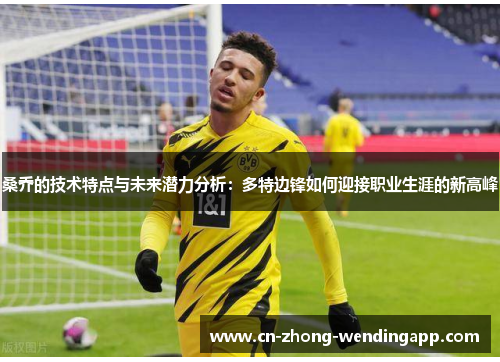 桑乔的技术特点与未来潜力分析：多特边锋如何迎接职业生涯的新高峰