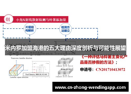 米内罗加盟海港的五大理由深度剖析与可能性展望
