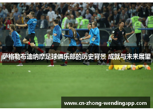 萨格勒布迪纳摩足球俱乐部的历史背景 成就与未来展望