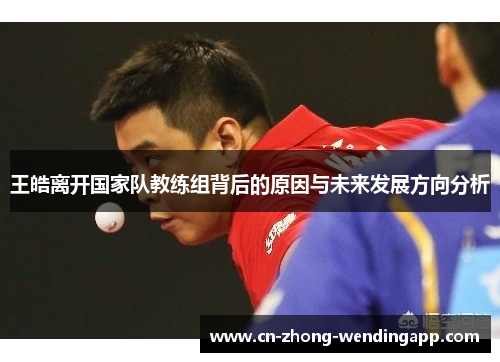王皓离开国家队教练组背后的原因与未来发展方向分析