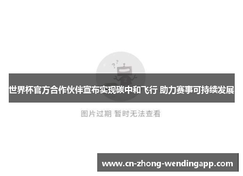 世界杯官方合作伙伴宣布实现碳中和飞行 助力赛事可持续发展