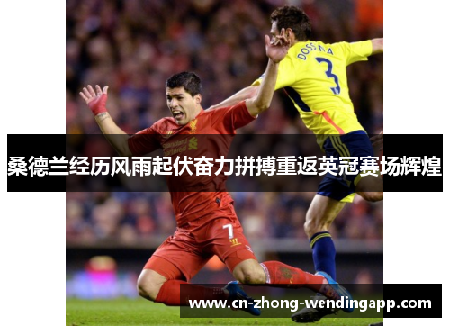 桑德兰经历风雨起伏奋力拼搏重返英冠赛场辉煌 桑德兰经历风雨起伏奋力拼搏重返英冠赛场辉煌