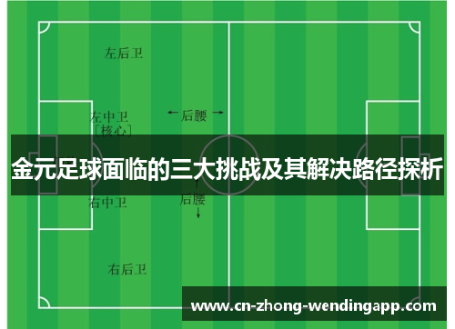 金元足球面临的三大挑战及其解决路径探析