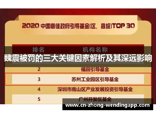 魏震被罚的三大关键因素解析及其深远影响